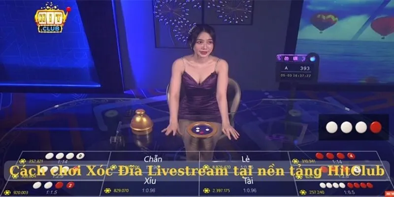 Xóc Đĩa HitClub mà cược thủ không nên bỏ qua Cách chơi Xóc Đĩa Livestream tại nền tảng HitClub